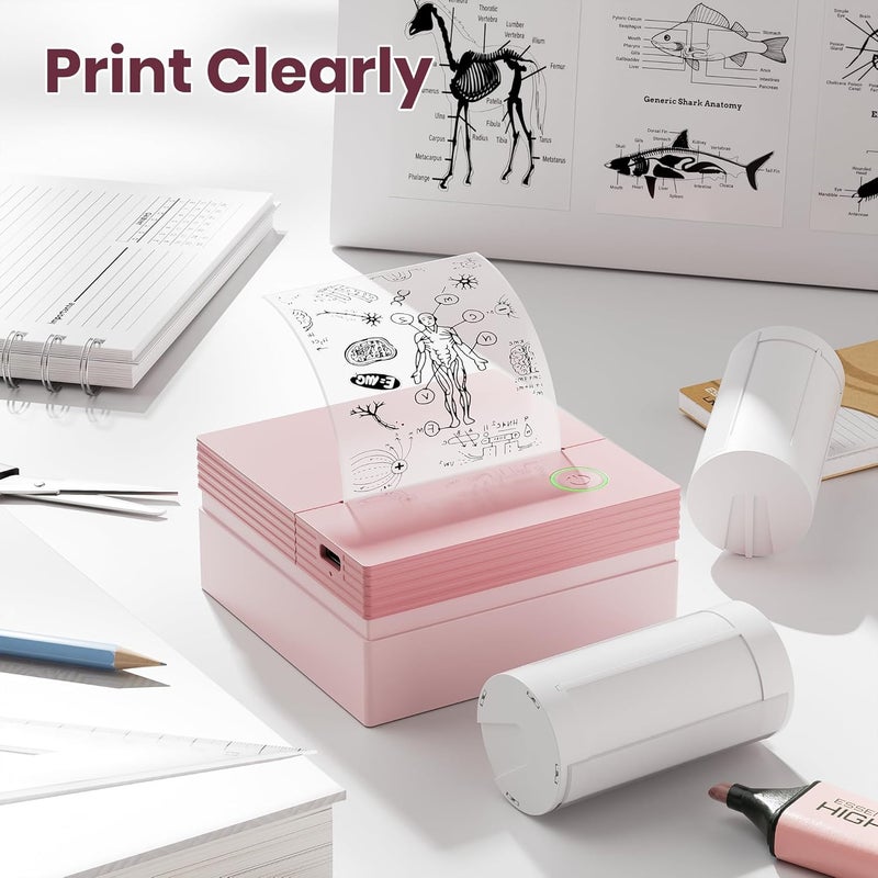 ETIKEZ Genuine Self-Adhesive Thermal Printer Stickers, Compatible with PM290C Mini Sticker Printer, Black on White, 54mmx3.2m Sticker Paper for Journal, Study, Photos, Note, 3 Rolls, Transparent - Image 4